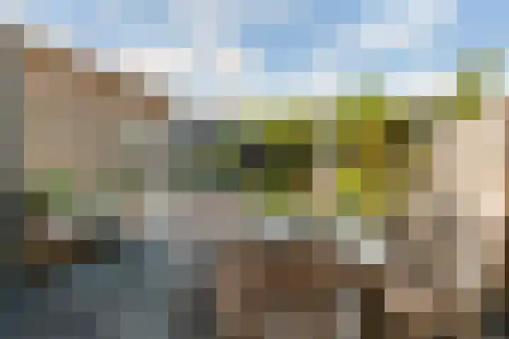 Prof. dr. T.M.C. Asserweg 23 De Bilt thumbnail 35