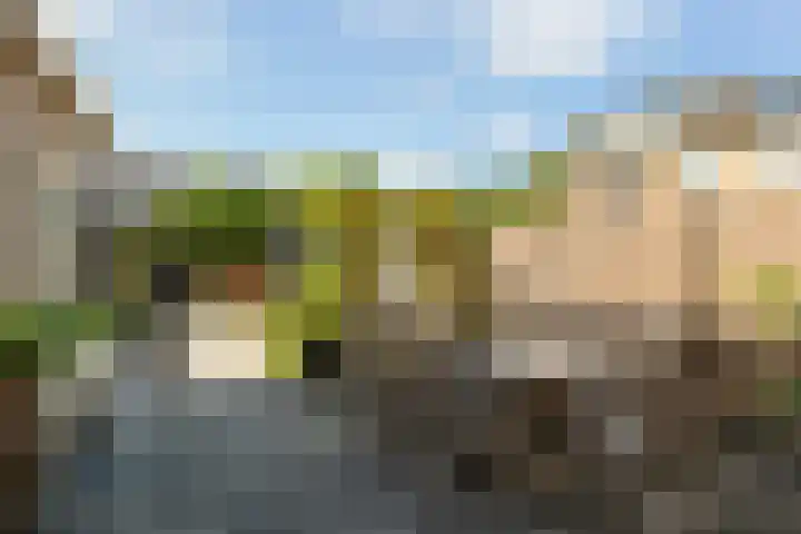 Prof. dr. T.M.C. Asserweg 23 De Bilt thumbnail 36