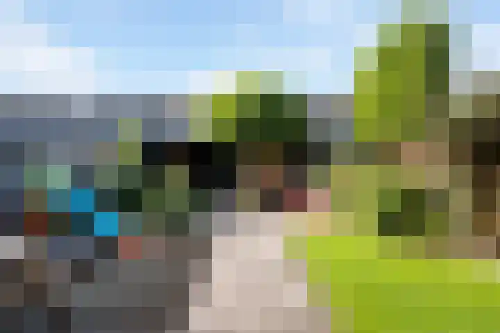 Prof. dr. T.M.C. Asserweg 23 De Bilt thumbnail 37