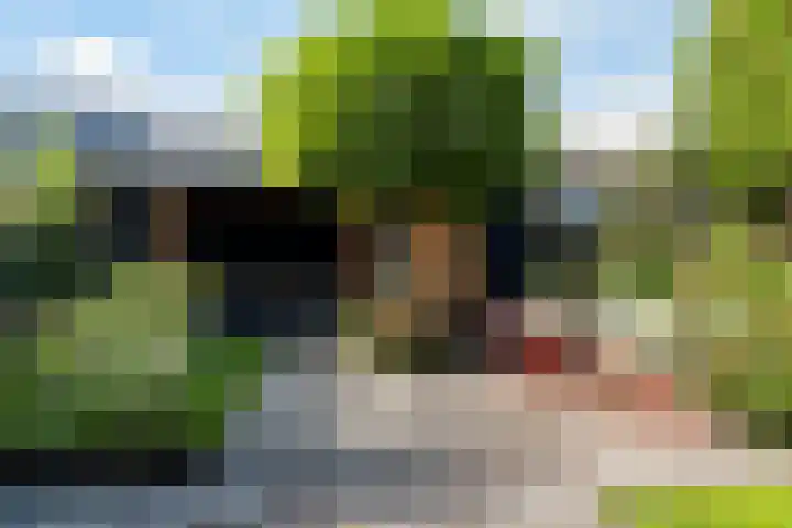 Prof. dr. T.M.C. Asserweg 23 De Bilt thumbnail 38