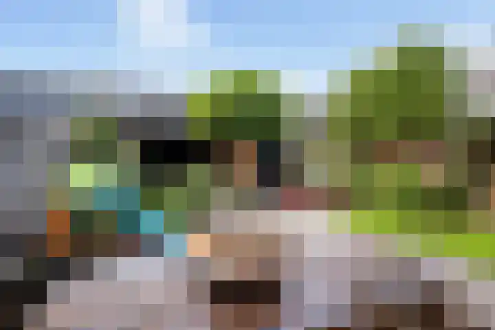Prof. dr. T.M.C. Asserweg 23 De Bilt thumbnail 39
