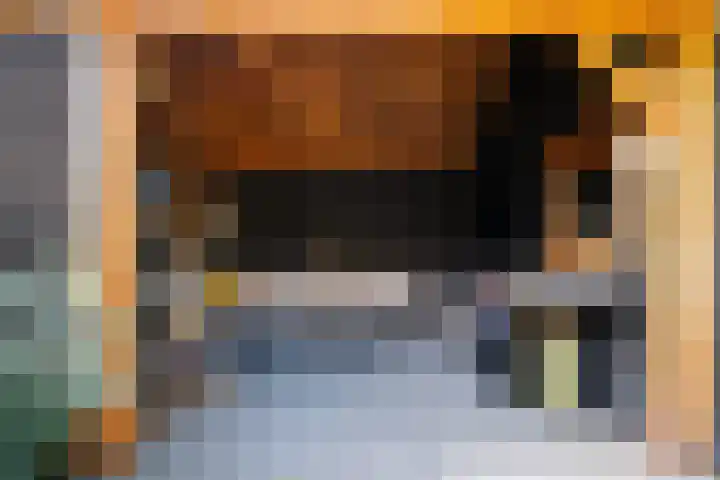 Prof. dr. T.M.C. Asserweg 23 De Bilt thumbnail 43