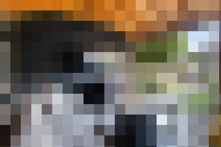 Prof. dr. T.M.C. Asserweg 23 De Bilt thumbnail 45