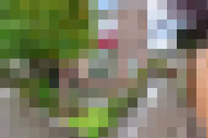 Prof. dr. T.M.C. Asserweg 23 De Bilt thumbnail 47