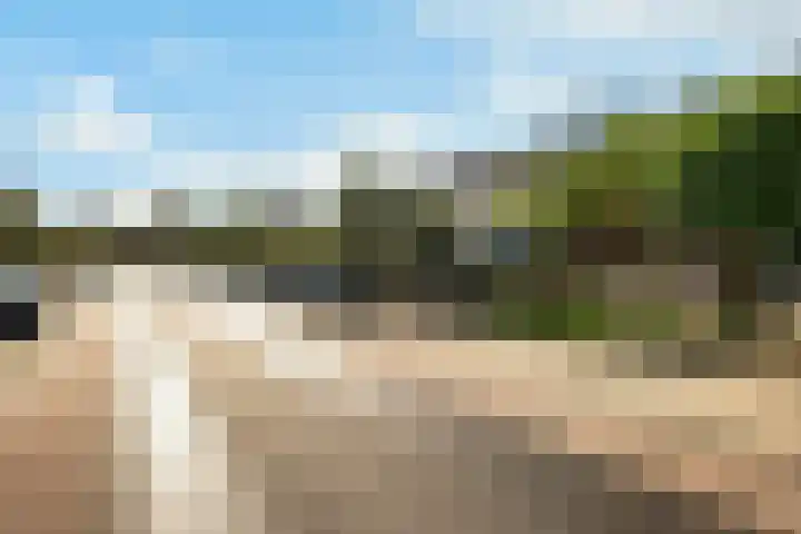 Prof. dr. T.M.C. Asserweg 23 De Bilt thumbnail 48