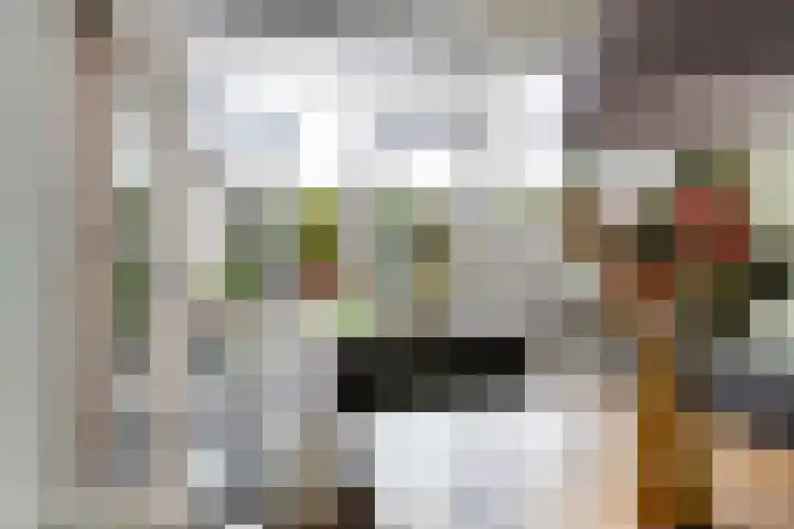 Prof. dr. T.M.C. Asserweg 23 De Bilt thumbnail 9