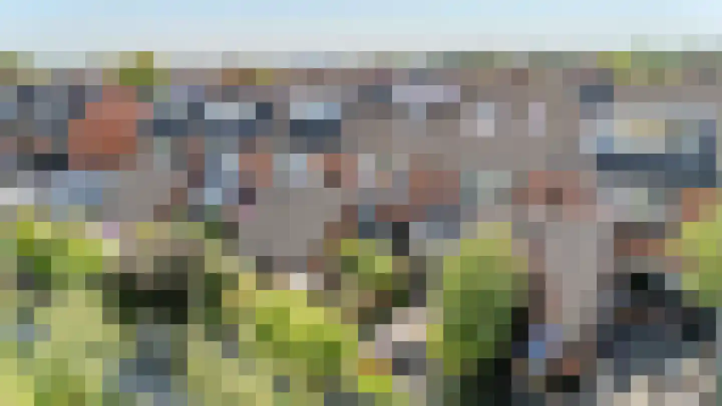 Prof. Dr. W. Glasbergenlaan 19 Valkenburg thumbnail 29