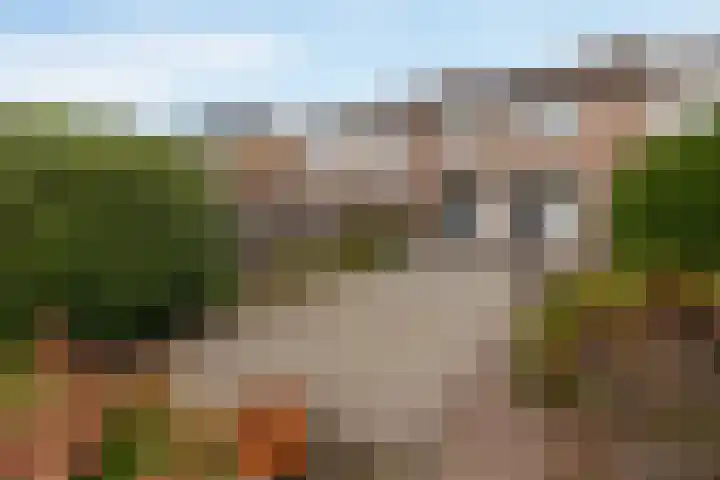 Prof. Duboisstraat 13 Sittard thumbnail 16