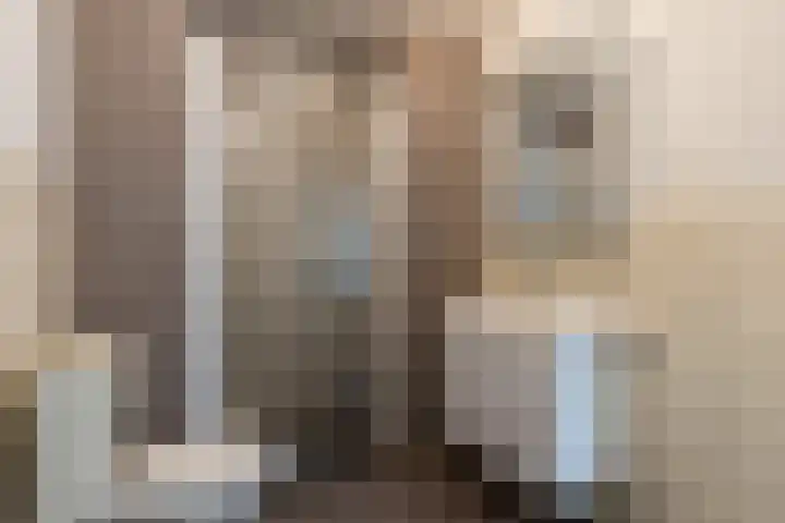 Prof. Duboisstraat 13 Sittard thumbnail 23