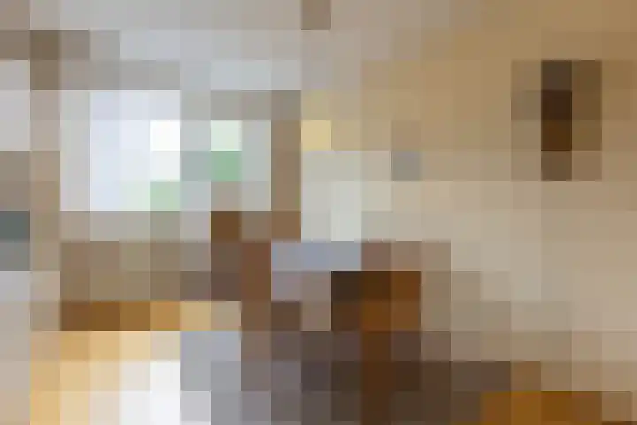 Prof. Duboisstraat 13 Sittard thumbnail 8