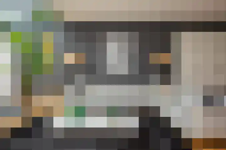 Prof. Einthovenlaan 12 Tiel thumbnail 10