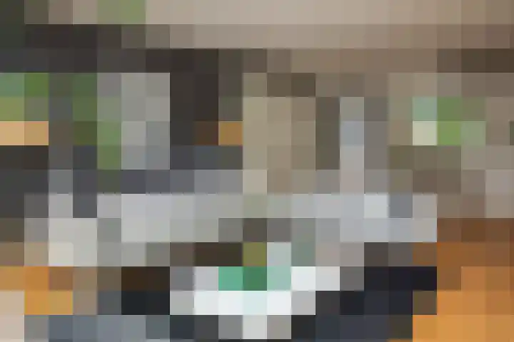 Prof. Einthovenlaan 12 Tiel thumbnail 11