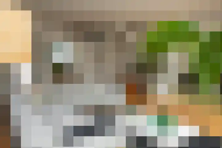 Prof. Einthovenlaan 12 Tiel thumbnail 12