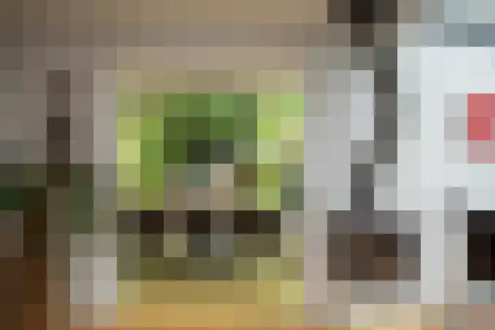 Prof. Einthovenlaan 12 Tiel thumbnail 13