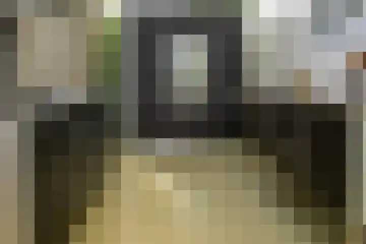 Prof. Einthovenlaan 12 Tiel thumbnail 14