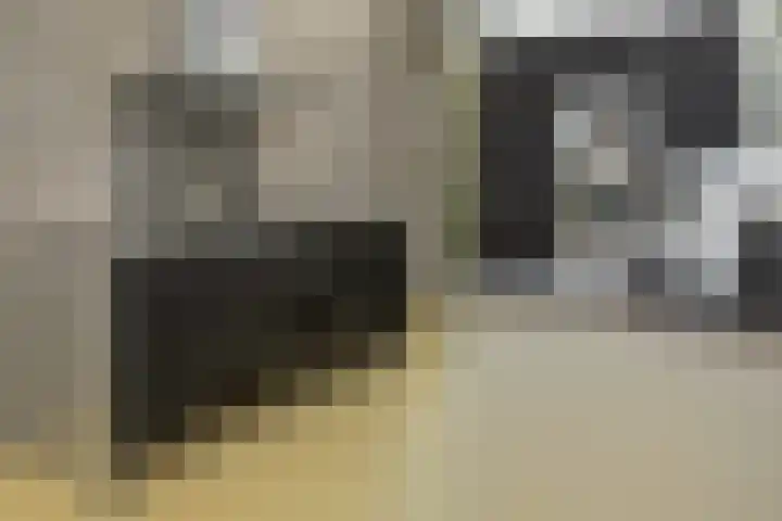 Prof. Einthovenlaan 12 Tiel thumbnail 15