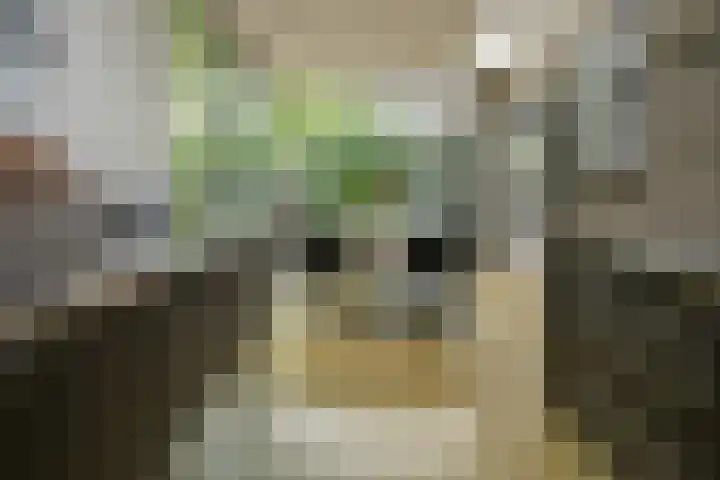 Prof. Einthovenlaan 12 Tiel thumbnail 16