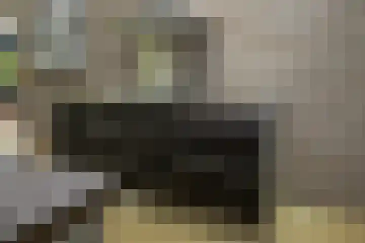 Prof. Einthovenlaan 12 Tiel thumbnail 17