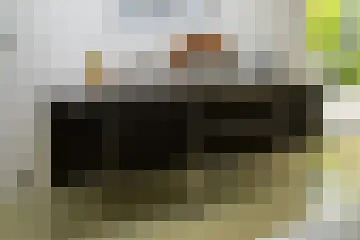 Prof. Einthovenlaan 12 Tiel thumbnail 18