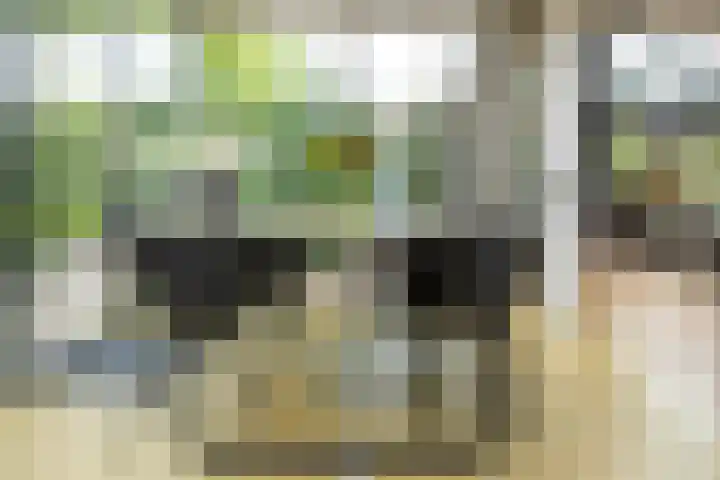 Prof. Einthovenlaan 12 Tiel thumbnail 19