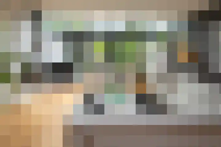 Prof. Einthovenlaan 12 Tiel foto 2
