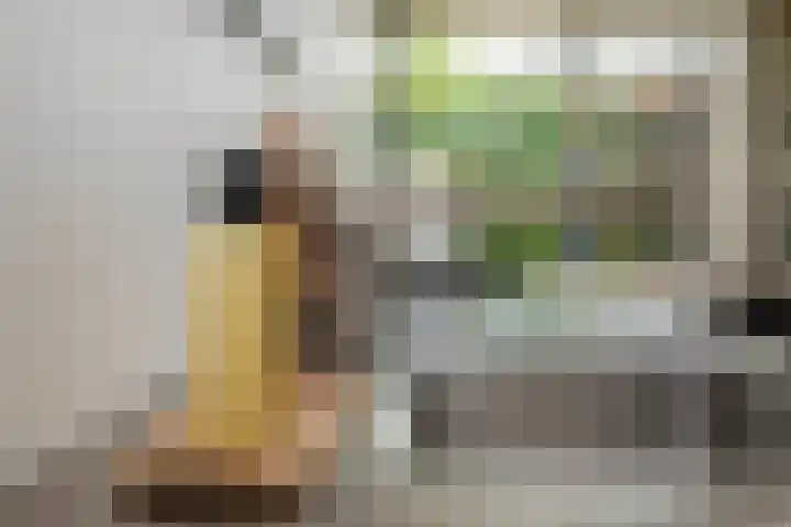 Prof. Einthovenlaan 12 Tiel thumbnail 20