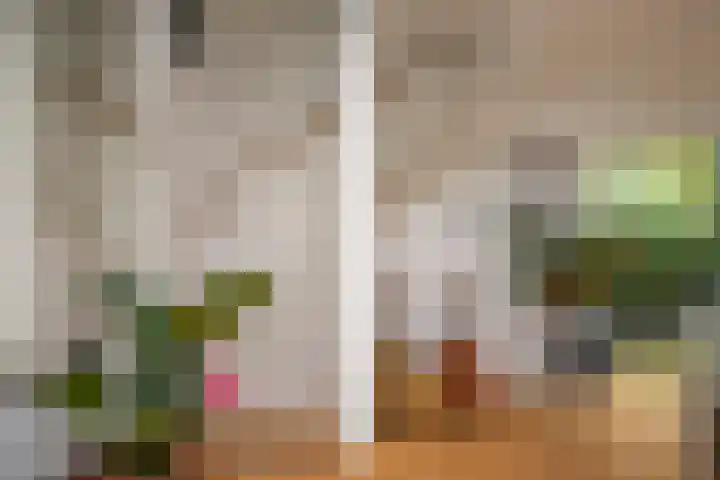 Prof. Einthovenlaan 12 Tiel thumbnail 21
