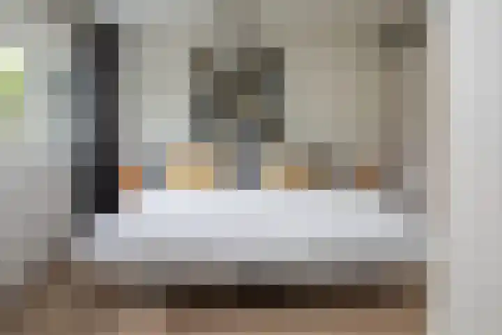 Prof. Einthovenlaan 12 Tiel thumbnail 22