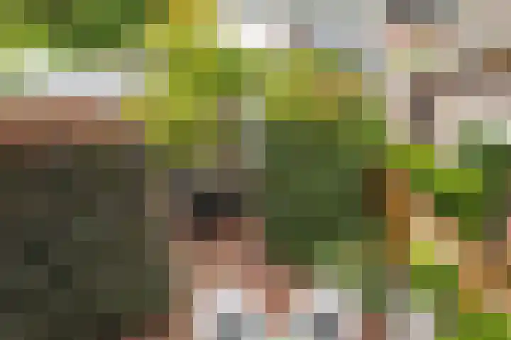 Prof. Einthovenlaan 12 Tiel thumbnail 25