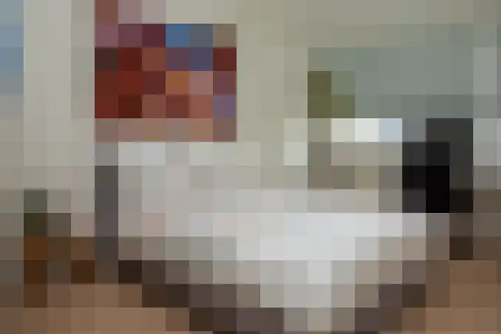 Prof. Einthovenlaan 12 Tiel thumbnail 26