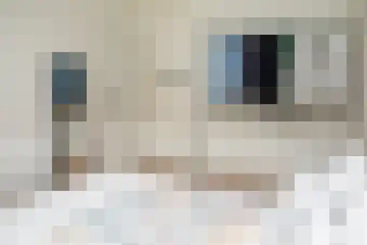 Prof. Einthovenlaan 12 Tiel thumbnail 27