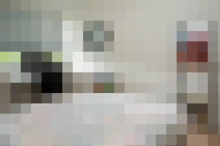 Prof. Einthovenlaan 12 Tiel thumbnail 28