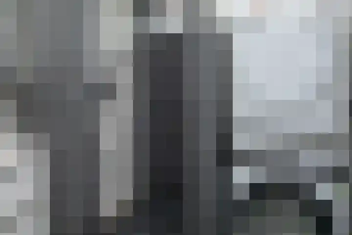 Prof. Einthovenlaan 12 Tiel thumbnail 30