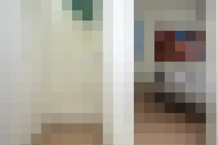 Prof. Einthovenlaan 12 Tiel thumbnail 33