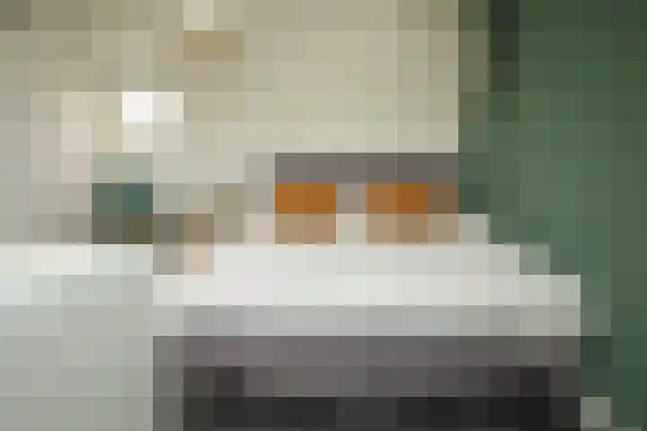 Prof. Einthovenlaan 12 Tiel thumbnail 34