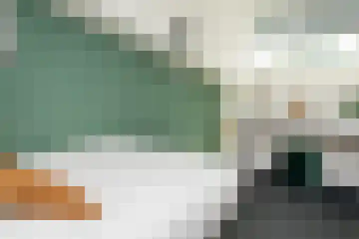 Prof. Einthovenlaan 12 Tiel thumbnail 35