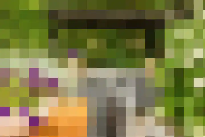 Prof. Einthovenlaan 12 Tiel thumbnail 38