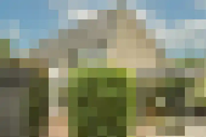 Prof. Einthovenlaan 12 Tiel thumbnail 39