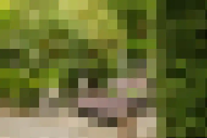 Prof. Einthovenlaan 12 Tiel thumbnail 40
