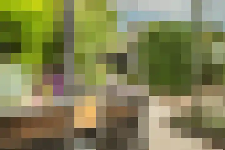 Prof. Einthovenlaan 12 Tiel thumbnail 41