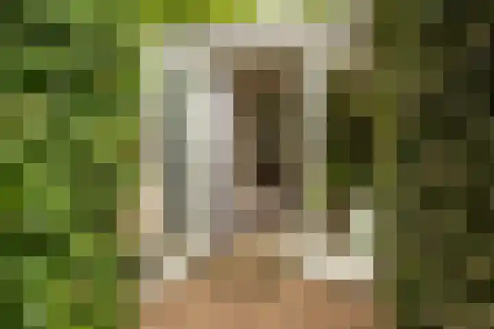 Prof. Einthovenlaan 12 Tiel thumbnail 43