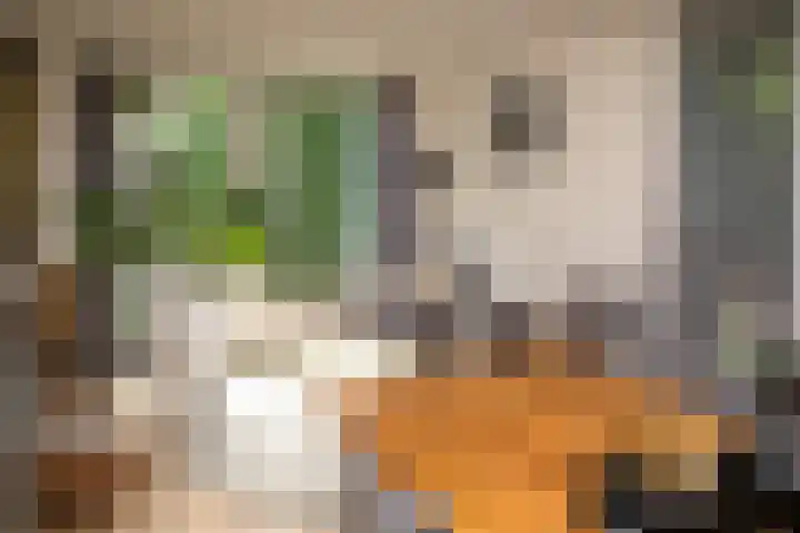 Prof. Einthovenlaan 12 Tiel thumbnail 44