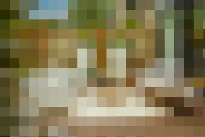 Prof. Einthovenlaan 12 Tiel thumbnail 46