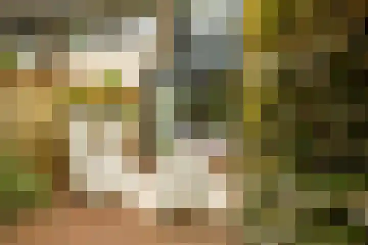 Prof. Einthovenlaan 12 Tiel thumbnail 47
