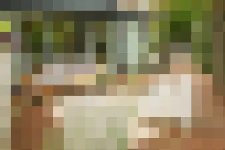 Prof. Einthovenlaan 12 Tiel thumbnail 49