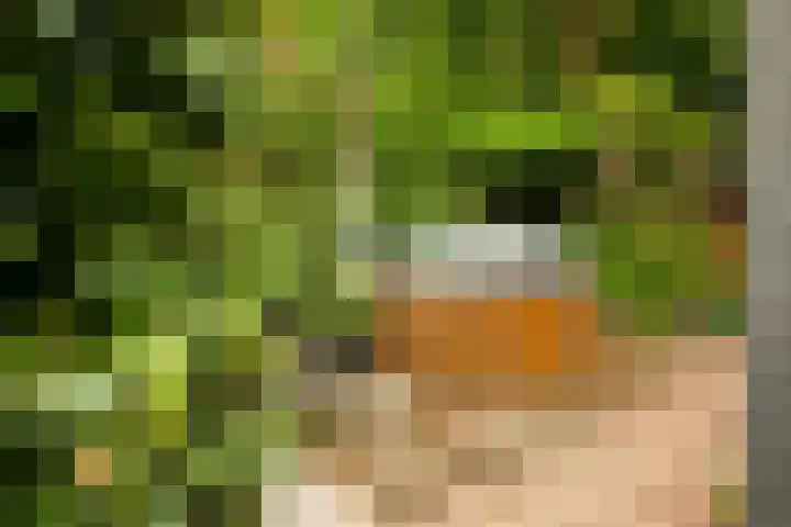 Prof. Einthovenlaan 12 Tiel thumbnail 50