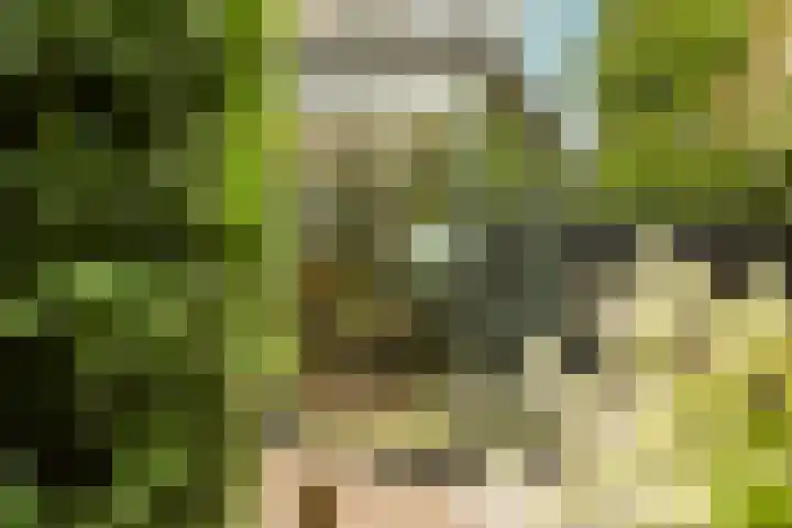 Prof. Einthovenlaan 12 Tiel thumbnail 51