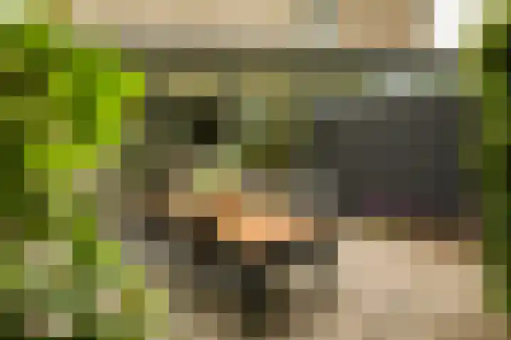 Prof. Einthovenlaan 12 Tiel thumbnail 52