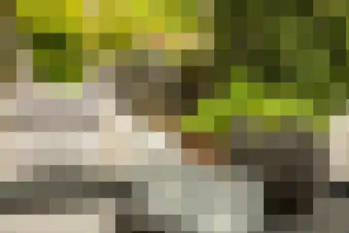 Prof. Einthovenlaan 12 Tiel thumbnail 53