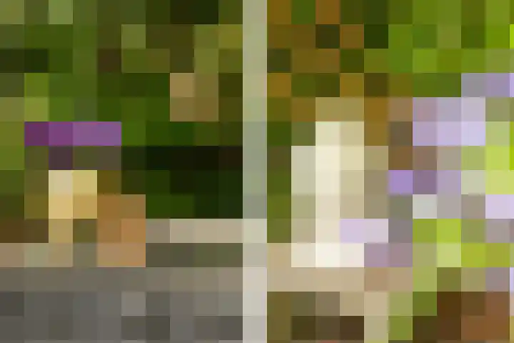 Prof. Einthovenlaan 12 Tiel thumbnail 54